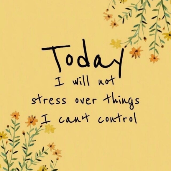 🌻 - Picture 4 of 4